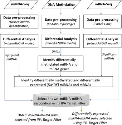 Integrative Analysis of DNA Methylation and microRNA Expression Reveals Mechanisms of Racial Heterogeneity in Hepatocellular Carcinoma